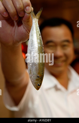 Tai Po Food Markt Hong Kong China Stockfoto