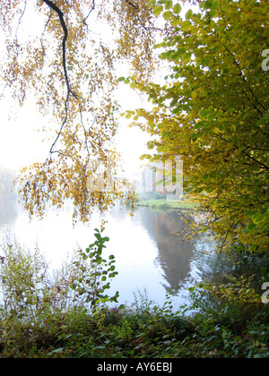 überhängenden Birke von riverside Stockfoto