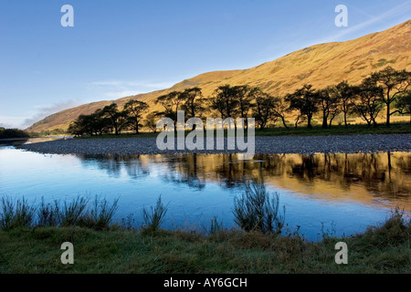 Anfang Herbst Farben mit Bäumen Silhouette gegen Bracken am Ufer des River Orchy, Glen Orchy, Argyll and Bute, Scotland Stockfoto