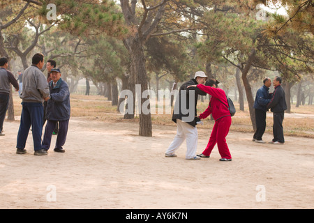 Push-Hands im Tiantan Park, Beijing Stockfoto
