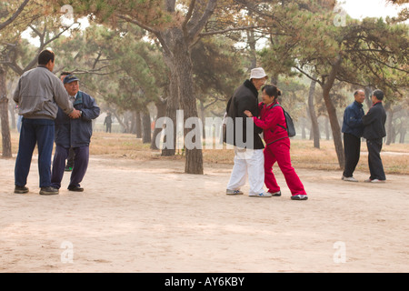 Push-Hands im Tiantan Park, Beijing Stockfoto
