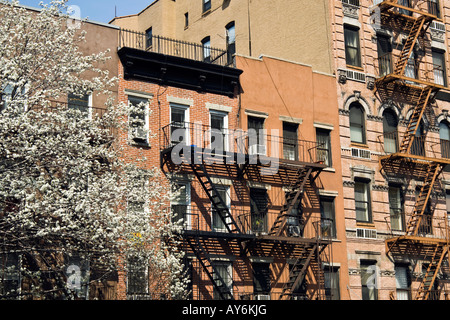 Frühling-Straßenansicht der städtischen Wohnungen mit Feuerleitern in New York City Stockfoto