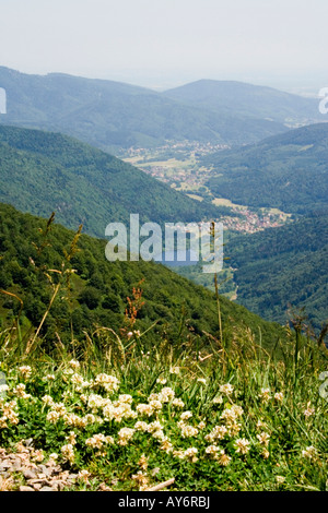 Blick vom Grand Ballon, Vogesen-Gebirge Stockfoto