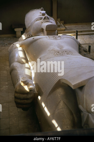 Kolossalstatue von Ramses II Memphis Kairo Arabische Republik von Ägypten ägyptische Nordafrika, Naher Osten Stockfoto