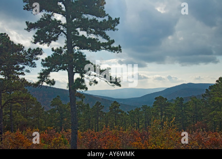 Talimena Scenic Drive in Oklahoma im Herbst, ein National Scenic Byway. Oklahoma, USA. Stockfoto