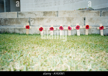 Rote Mohnblumen auf einem Kriegerdenkmal Stockfoto
