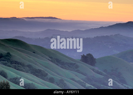 Ridge Tops bei Sonnenaufgang zeigt Hänge von der East Bay Area in unberührte Tilden Park in Kalifornien Stockfoto