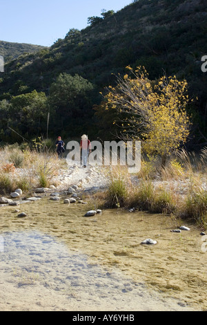 Wanderer im Guadalupe Mountains National Park liegt im Westen von Texas in der nördlichen Spitze von der Chihuahua-Wüste Stockfoto