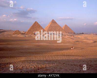 Pyramiden von Gizeh bei Sonnenuntergang, Giza, Ägypten Stockfoto
