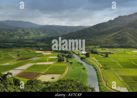 Hanalei River Valley auf Kauai, Hawaii, USA Stockfoto