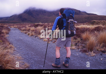 Einsame Tramper auf der Tongariro Crossing Tongariro National Park Nordinsel Neuseeland Stockfoto