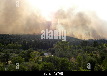 Wildfire in Griechenland am 8. Juli 2007 Feuer auf der Insel Samos im Bereich zwischen Mitilini und Kokkari. Stockfoto