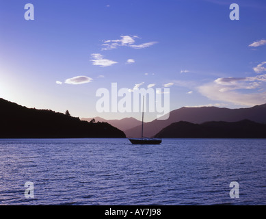 Yaught vertäut in Portage Bay Kenepuru Sound Südinsel Neuseeland Stockfoto