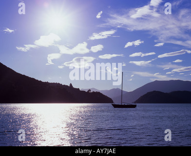 Yaught vertäut in Portage Bay Kenepuru Sound Südinsel Neuseeland Stockfoto