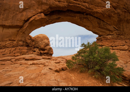 Der Norden Fenster, Abschnitt Windows Arches-Nationalpark Stockfoto