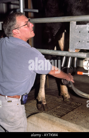 Herr 0383 0388 bereitet David Durio für das Melken Demonstration auf der Farm und Ranch Heritage Museum in Las Cruces, New Mexico. Stockfoto