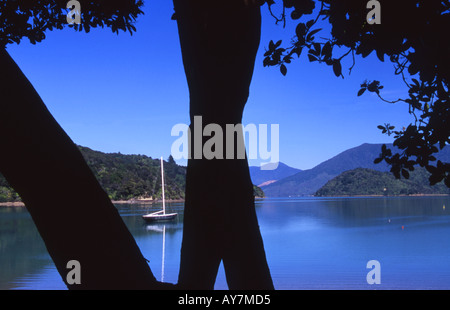 Yaught vertäut in Portage Bay Kenepuru Sound Südinsel Neuseeland Stockfoto