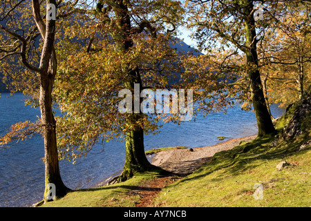 Buttermere, Lake District, Cumbria Stockfoto