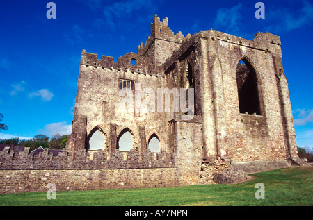 Tintern Abbey ist eine Zisterzienser-Abtei liegt auf der Halbinsel Hook, County Wexford, Irland. Stockfoto