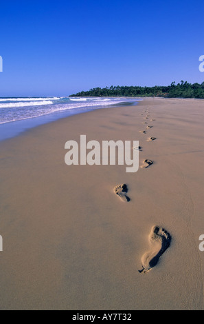Fußspuren im Sand, Strand Morrungulo, Mosambik Stockfoto