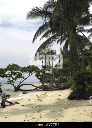 Palmen gesäumten Strand Ko Ngai Insel Thailand Stockfoto