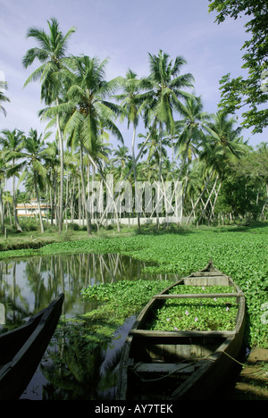 Landschaft des Bakwater im Vellayani See kerala Stockfoto