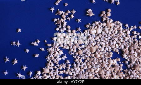 Sterne Sand vom Hoshizuna Strand Yaeyama Inseln einschließlich Ishigaki, Iriomote und Taketomi Stockfoto