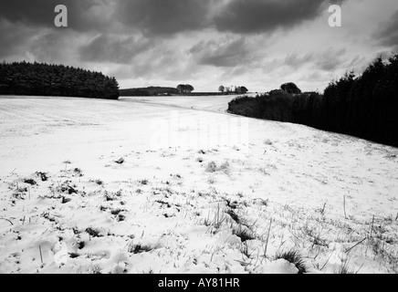 Schnee am Cheesefoot Kopf in der South Downs-Hampshire UK Stockfoto