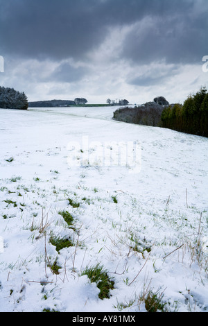 Schnee am Cheesefoot Kopf in der South Downs-Hampshire UK Stockfoto