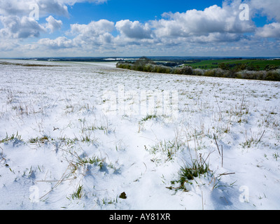 Schnee am Cheesefoot Kopf in der South Downs-Hampshire UK Stockfoto