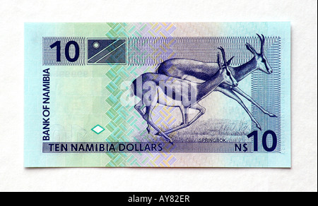 Namibia-10-Dollar-Banknote Stockfoto