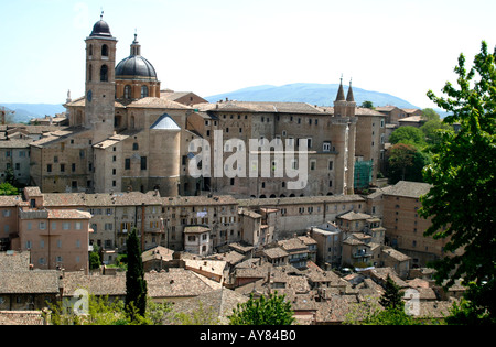 Viel besucht Panorama der Stadt von Urbino (Geburtsort des Künstlers Raphael) mit dem Herzogspalast in Le Marche, Marken, Italien Stockfoto