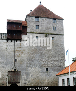 Schlossturm und massiven Eisentor. Stockfoto