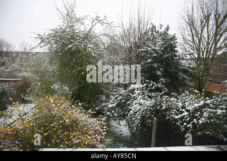 Ein Garten hinter dem Haus im Süden von London nach Schneefall Stockfoto