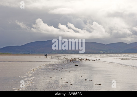 Inch Strand, County Kerry, Irland.  Mann Frau und Hund am Strand mit den Bergen des Ring of Kerry hinter. Regnerischen Tag. Stockfoto