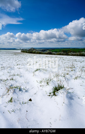 Schnee am Cheesefoot Kopf in der South Downs-Hampshire UK Stockfoto