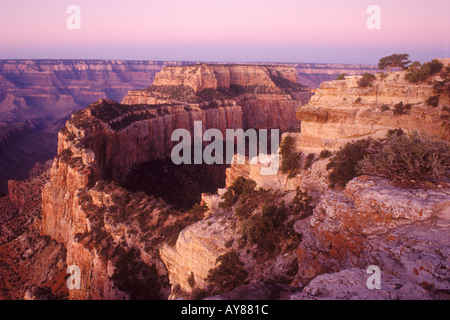 Welt-Thron im Morgengrauen Cape Royal North Rim Grand Canyon Nationalpark Arizona USA Stockfoto