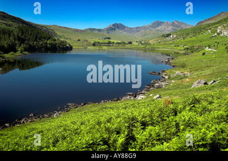 Blick über Llyn Mymbyr mit Blick auf die Snowdon Horseshoe. Nord-Wales. Stockfoto