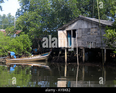 Longtail-Boot und Holzhaus auf Stelzen in Mangroven in der Nähe von Chao Mai Pier Süd-Ost Thailand Stockfoto