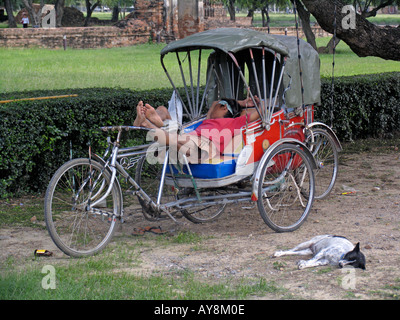 Hund schlafen und schlafen Dreirad-Rikscha-Fahrer-Ayutthaya-Thailand Stockfoto