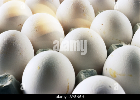 Eiern im Karton, Nahaufnahme Stockfoto