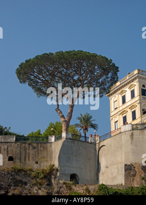 Schirmkiefer und das historische Wahrzeichen der Villa La Terrezza, Sorrent, Bucht von Neapel, Amalfiküste, Italien Stockfoto