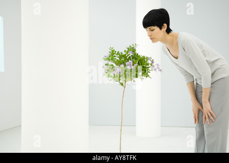 Frau stehend im Innenbereich, biegen über, blühender Baum, Seitenansicht zu riechen Stockfoto