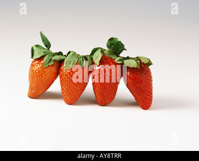 Vier Erdbeeren in Folge Stockfoto