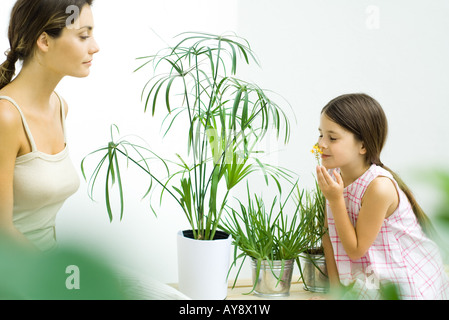 Mädchen riechende Blume Zweig, während Mutter Uhren Stockfoto