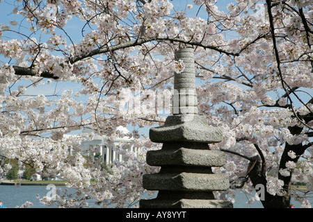 Japanisch-Denkmal, Cherry Blossom, Tidal Basin, Jefferson Memorial, Washington DC, USA Stockfoto