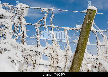 Schnee bedeckt Stacheldrahtzaun, Laub und Post in der Landschaft Oxfordshire. UK Stockfoto