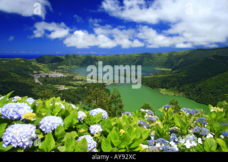 Sete Cidades Krater und die zwei Seen mit Hortensien im Vordergrund. Azoren, Portugal. Stockfoto
