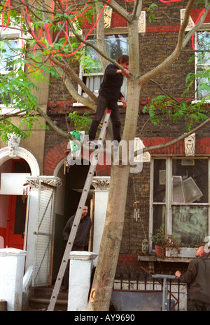 Befestigung Licht am Baum draußen hocken bei St. Agnes in Kennington South London drohenden Räumung zu protestieren. Stockfoto