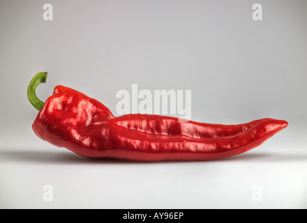 Cayenne-Pfeffer Stockfoto
